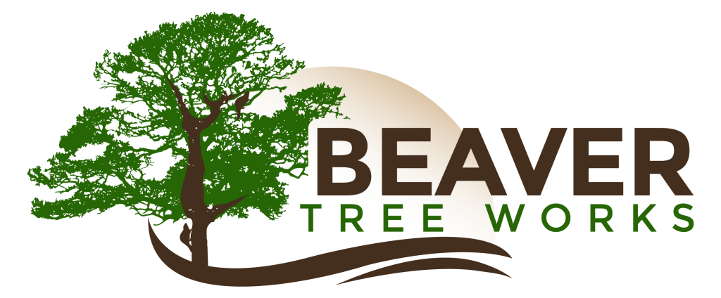 Beaver Tree Works PNG-01